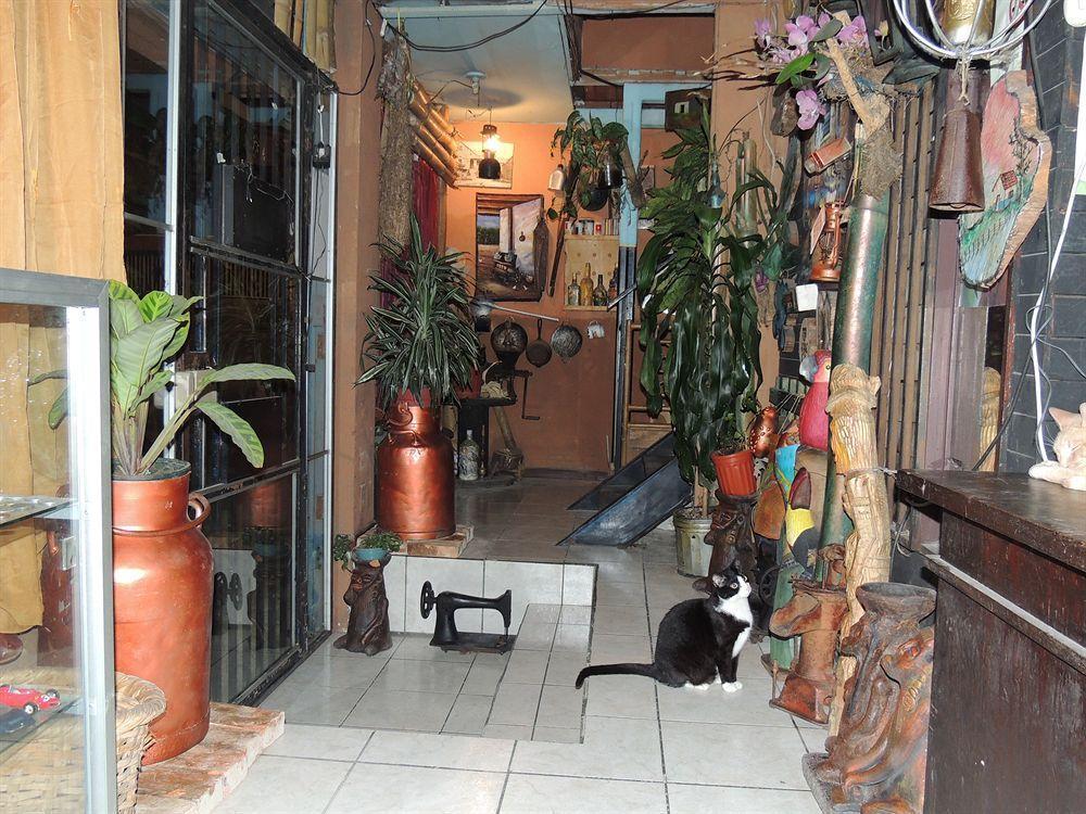 Hostal Del Este Santa Fe San José Exteriér fotografie